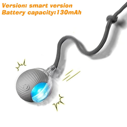 Automatic Rolling Dog Ball – Smart Rechargeable Puppy Toy for Interactive Play
