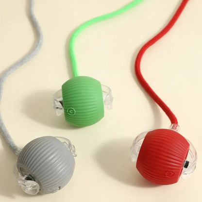 Automatic Rolling Dog Ball – Smart Rechargeable Puppy Toy for Interactive Play