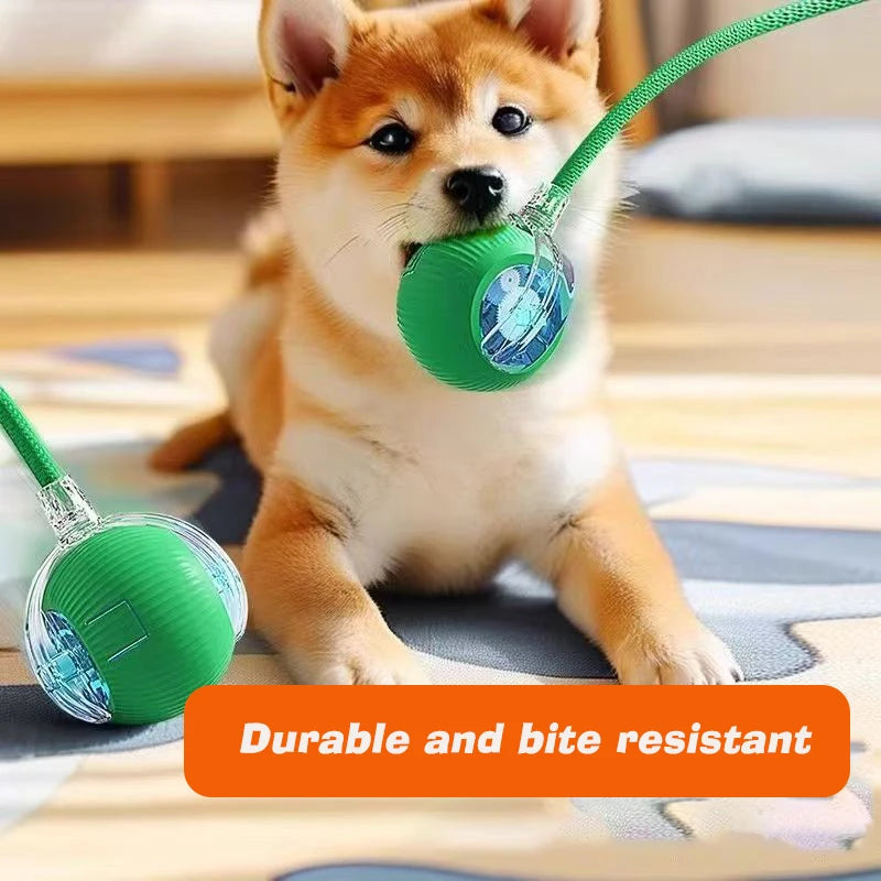 Automatic Rolling Dog Ball – Smart Rechargeable Puppy Toy for Interactive Play
