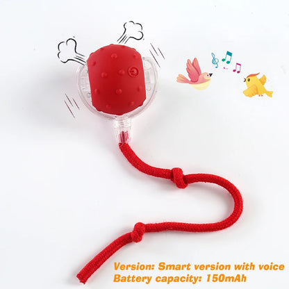 Automatic Rolling Dog Ball – Smart Rechargeable Puppy Toy for Interactive Play