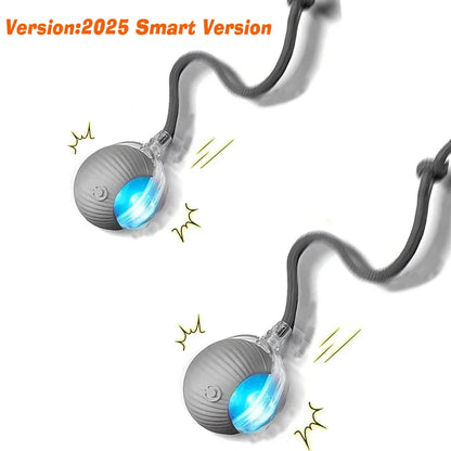 Automatic Rolling Dog Ball – Smart Rechargeable Puppy Toy for Interactive Play