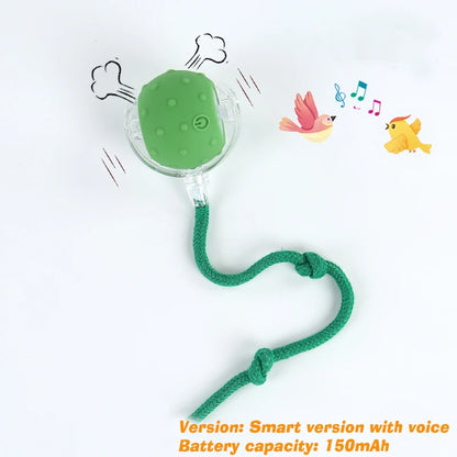 Automatic Rolling Dog Ball – Smart Rechargeable Puppy Toy for Interactive Play